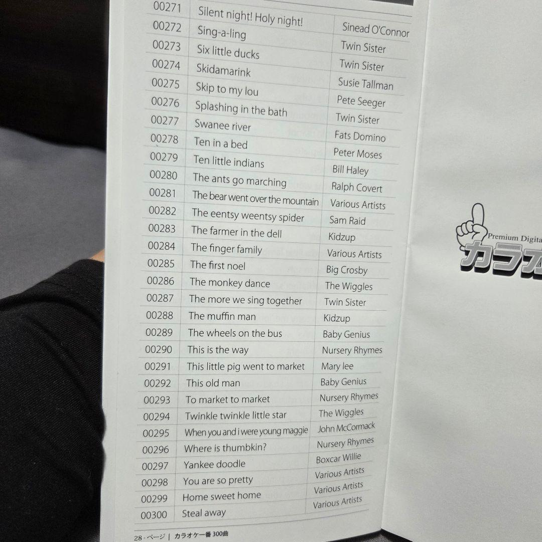 カラオケ一番 本体セット 専用有線サブマイク付き 家庭用 カラオケマイク