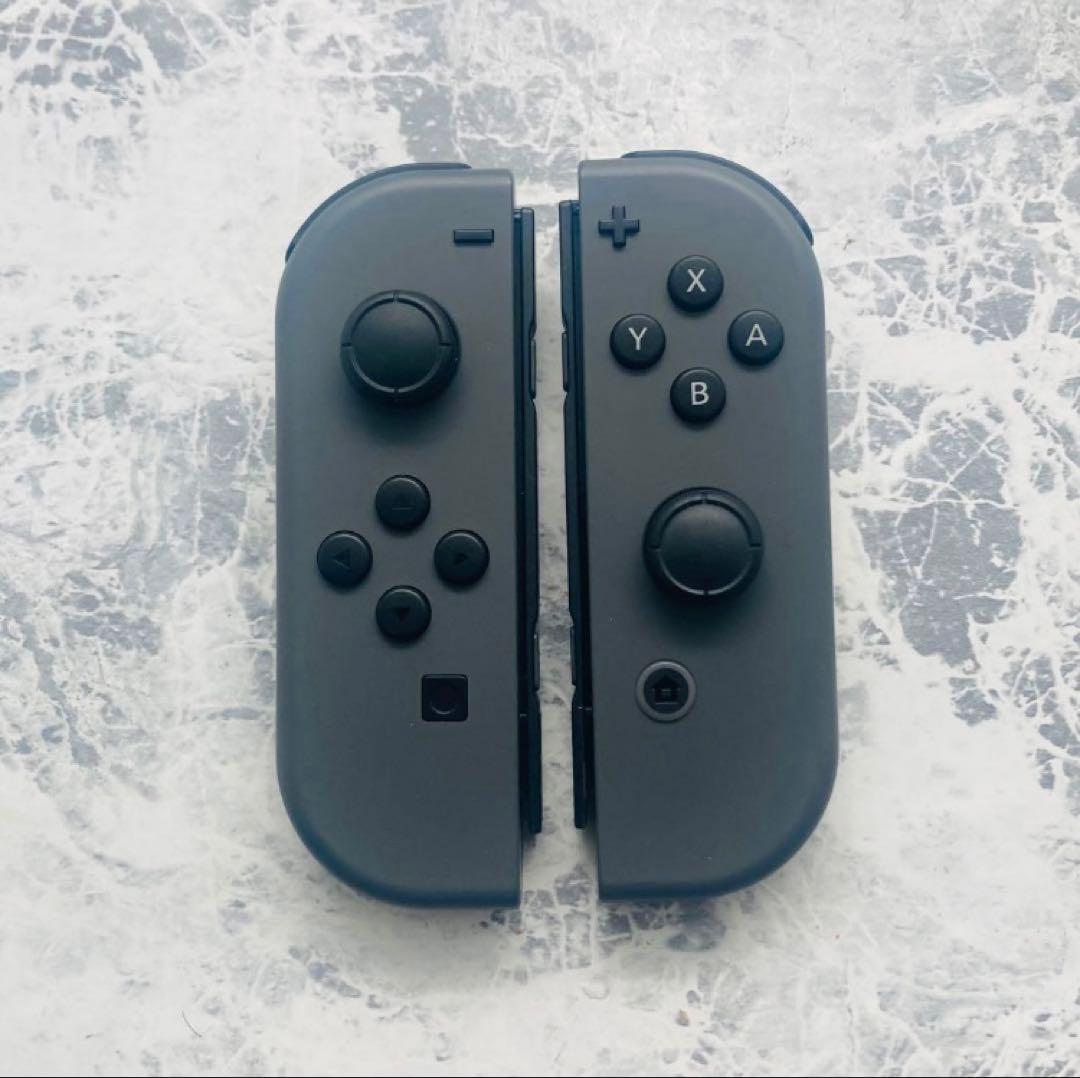 あ*ん様 Nintendo Switch 本体 グレー マイクロファイバー付き