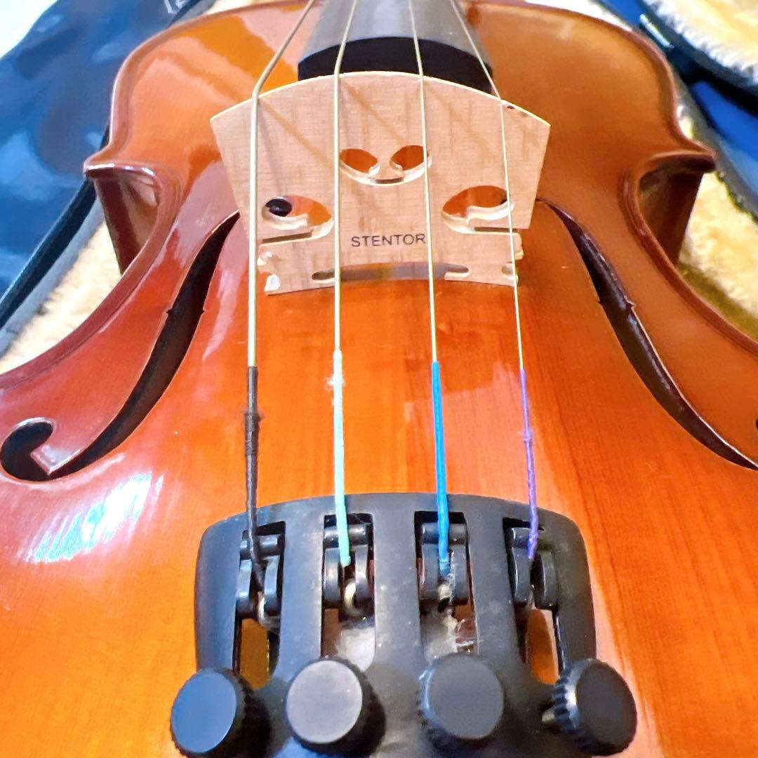 【美品】STENTOR ビオラ ヴィオラ　ステンター　Viola