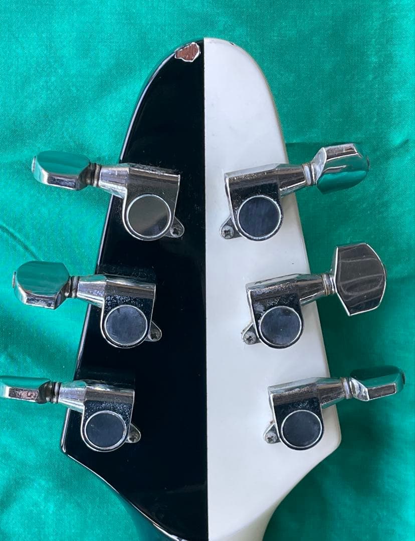 FERNANDES 日本製 マイケルシェンカーV ESPギグバッグ付