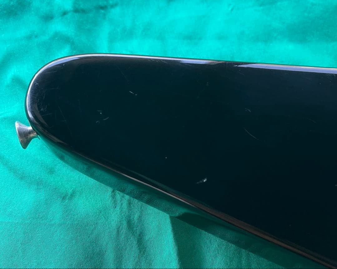 FERNANDES 日本製 マイケルシェンカーV ESPギグバッグ付