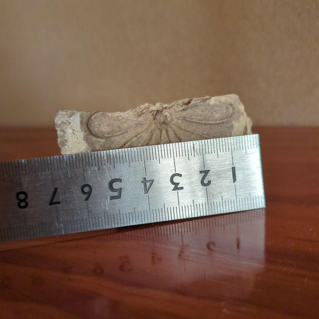 小さい花模様の陶器瓦 古瓦 古美術 骨董品 古道具 ミニチュア 2026年