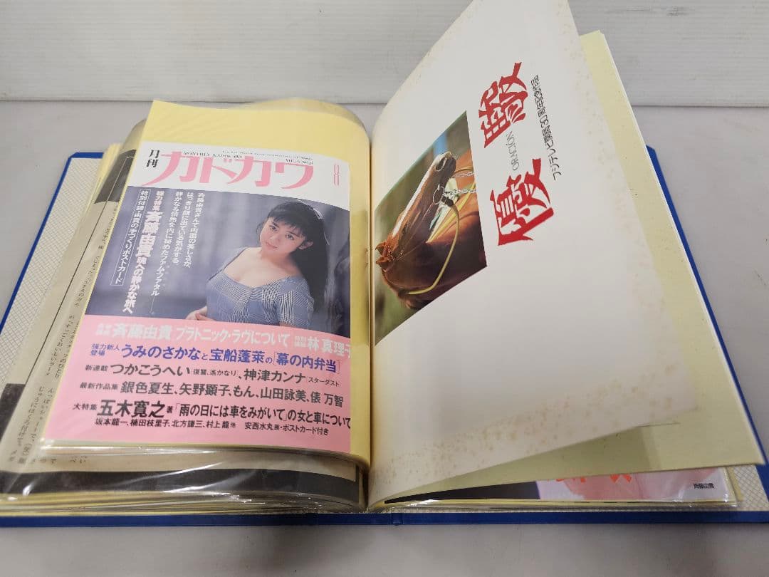 ②超美品！斉藤由貴シリーズ 雑誌切り抜き 大量！ファイル綴じ約305