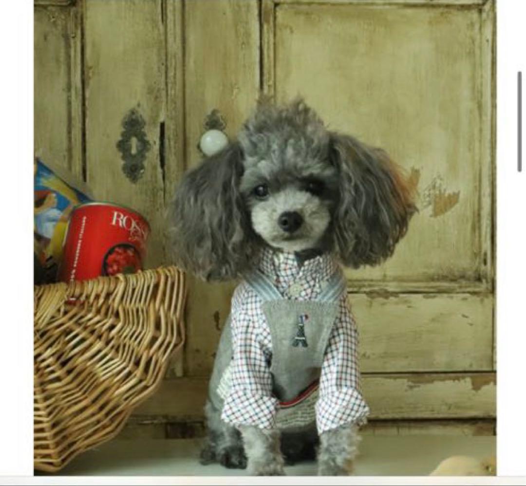 アトリエgg エプロン グロッサリーエプロンアトリエgg エプロン 【公式