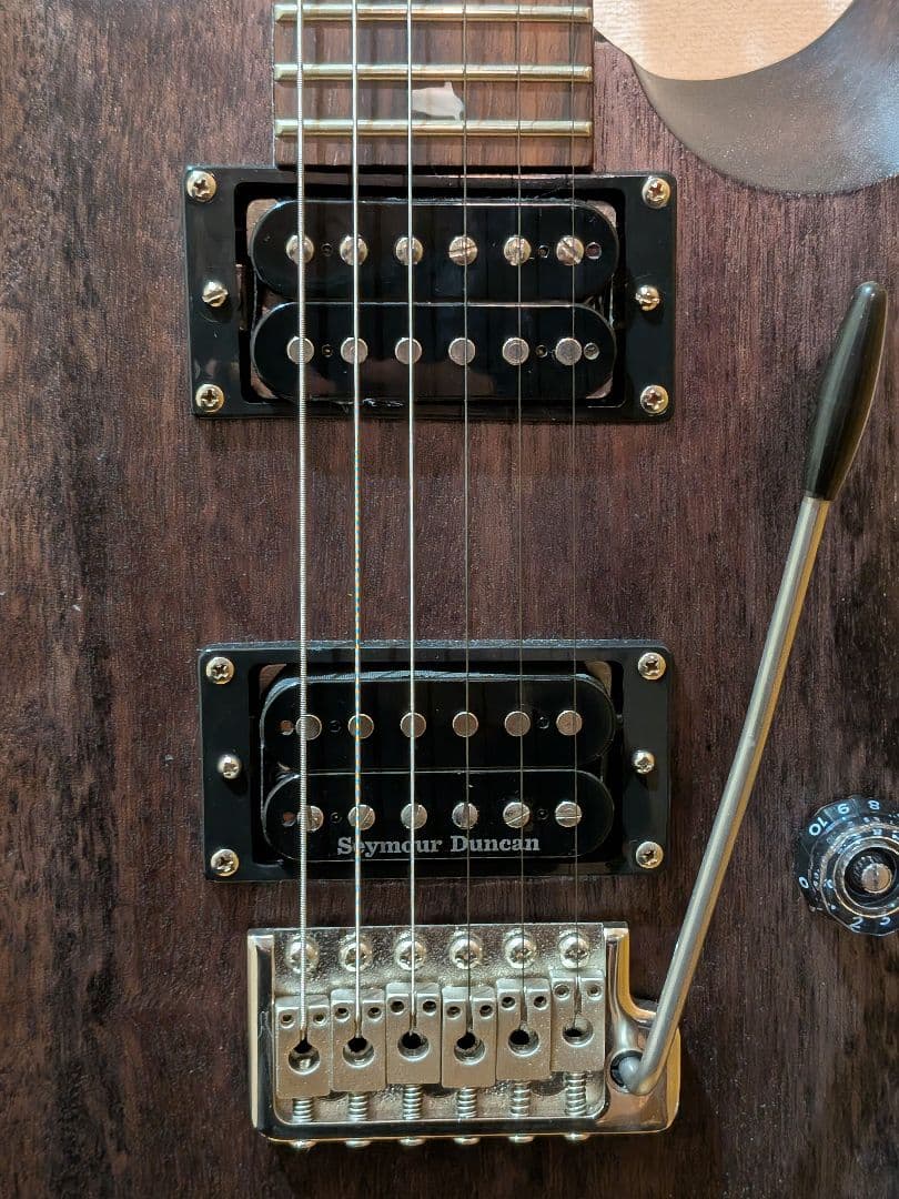 【絶品】PRS SE CE24 エレキギター ピックアップ交換