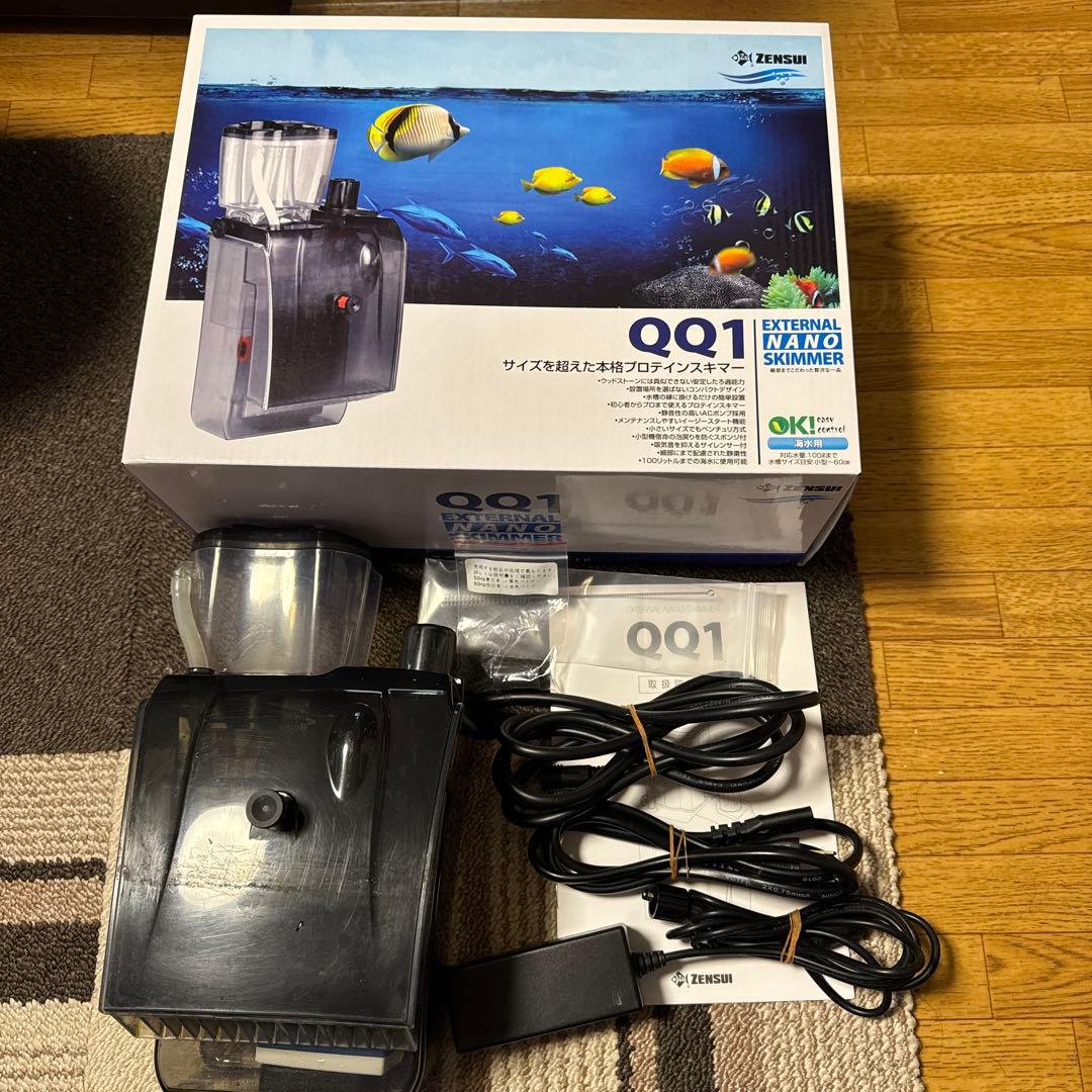 h*3様 ブセファランドラ sp.バンジャルバルダークグリーン【カミハタ2013