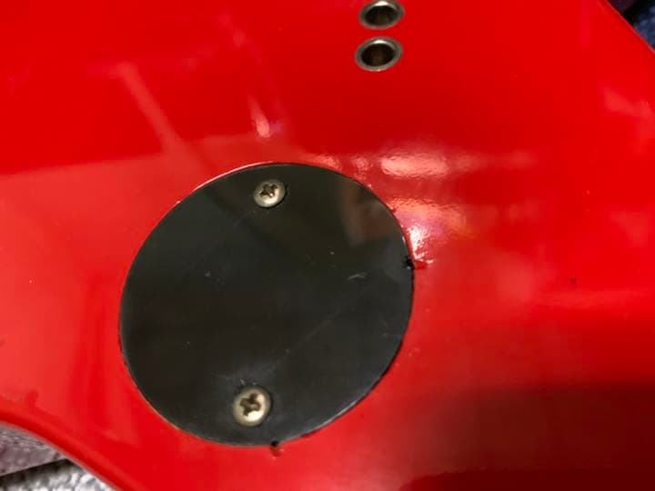 EDWARDS ミニランダムスター