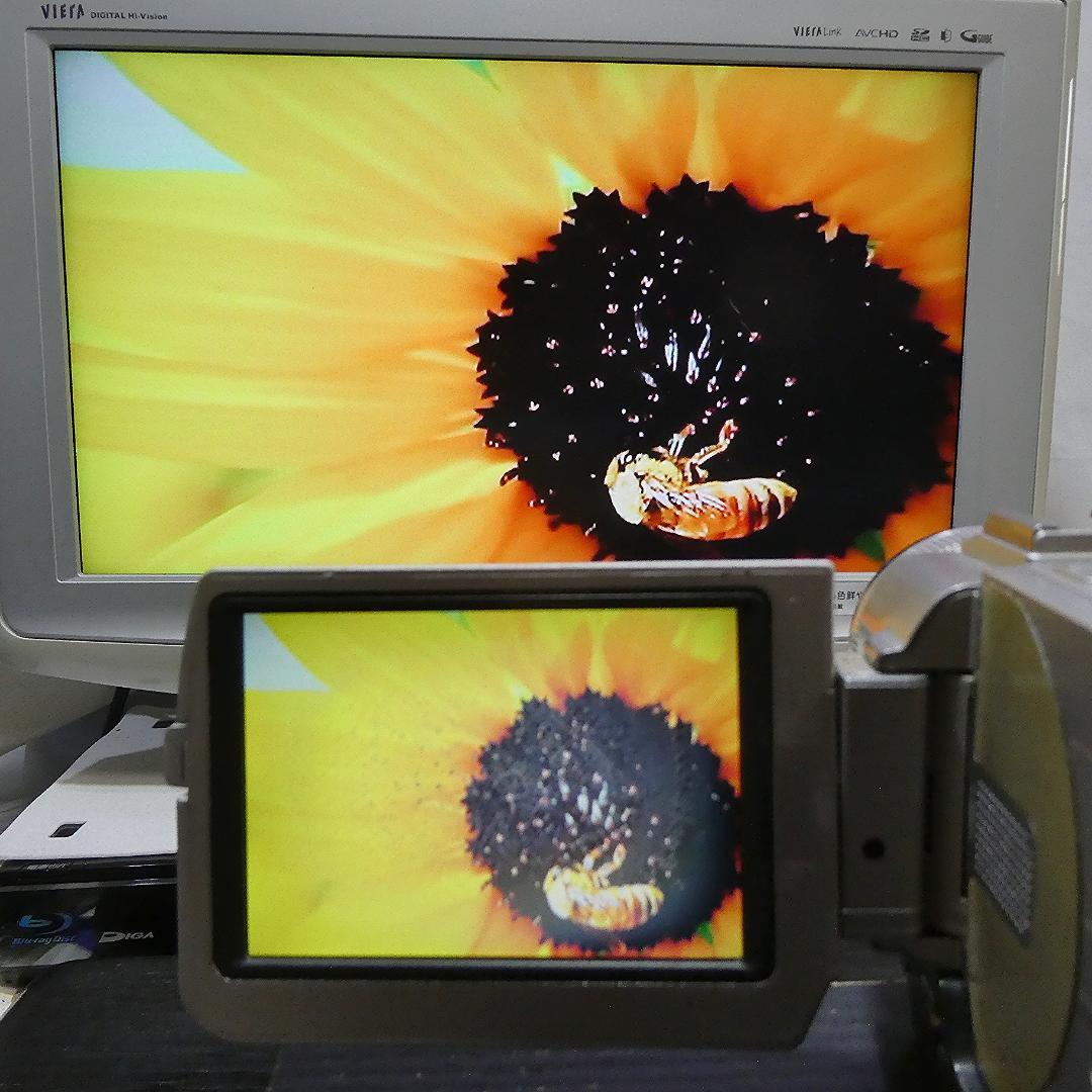 美品・動作品ソニー DCR-TRV20 MiniDV ビデオカメラ DVD化に