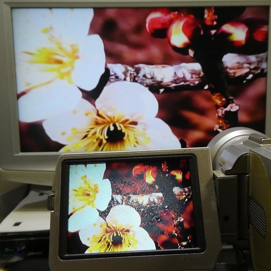 美品・動作品ソニー DCR-TRV20 MiniDV ビデオカメラ DVD化に