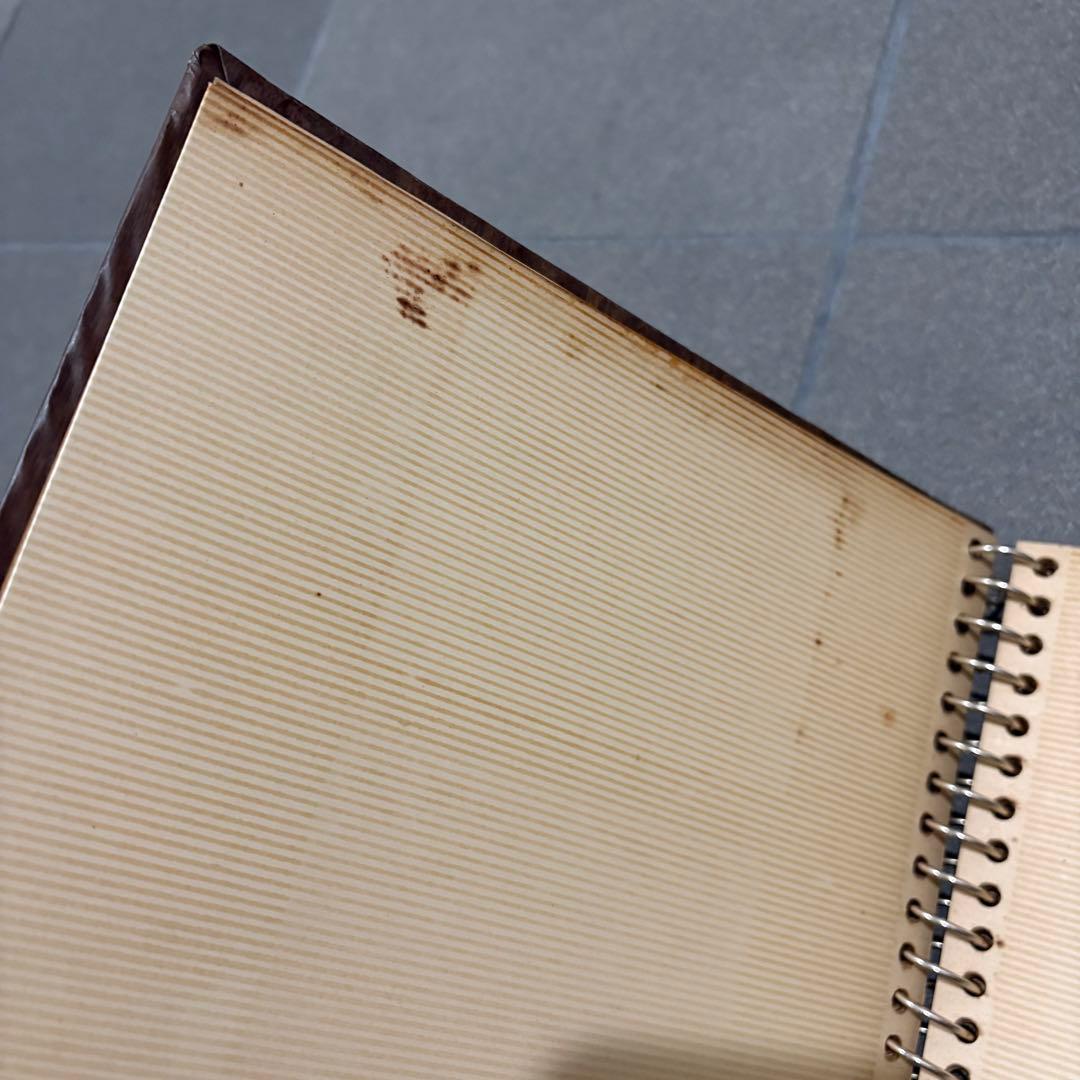 当時物 全日空 ANA ダビンチ アルバム 昭和39年 レオナルドダヴィンチ