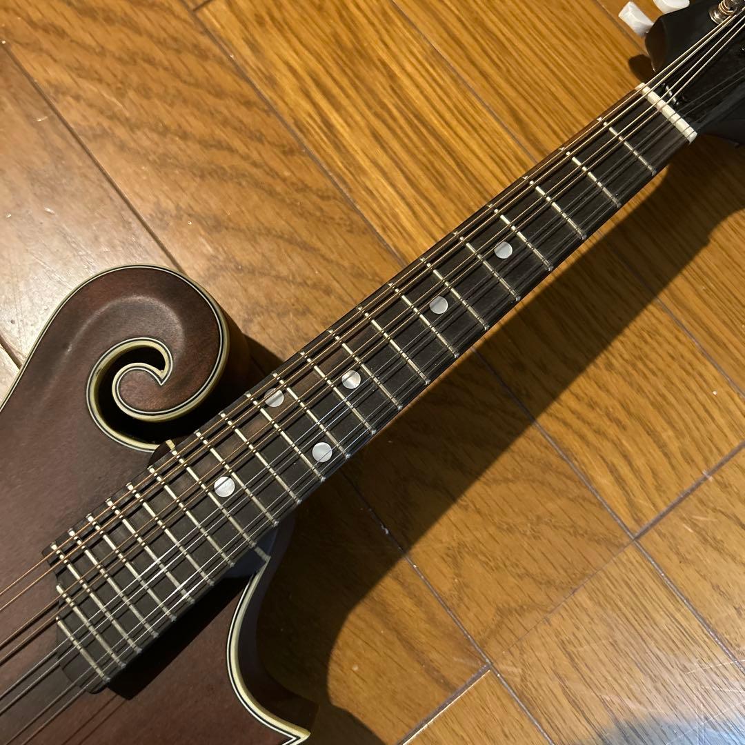 フラットマンドリン　イーストマン　md-315 /CLA ピックアップ付き