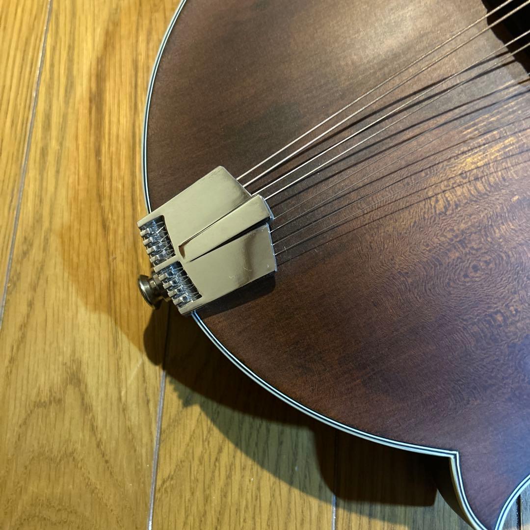 フラットマンドリン　イーストマン　md-315 /CLA ピックアップ付き