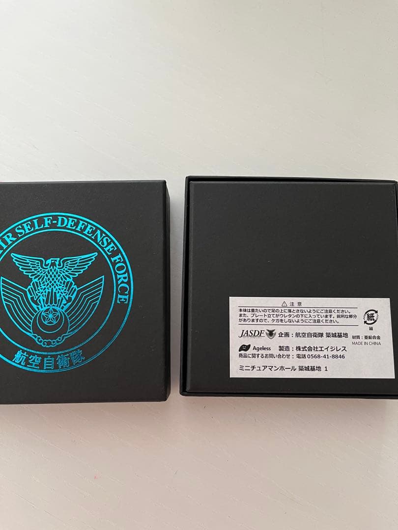 航空自衛隊 築城基地 マンホール メダル