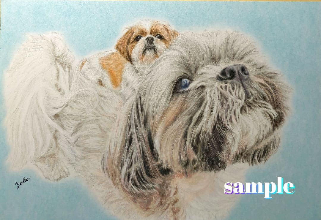 色鉛筆画✭愛猫愛犬✭ペット似顔絵　肖像画　イラスト　注文オーダー　受付ページ　1