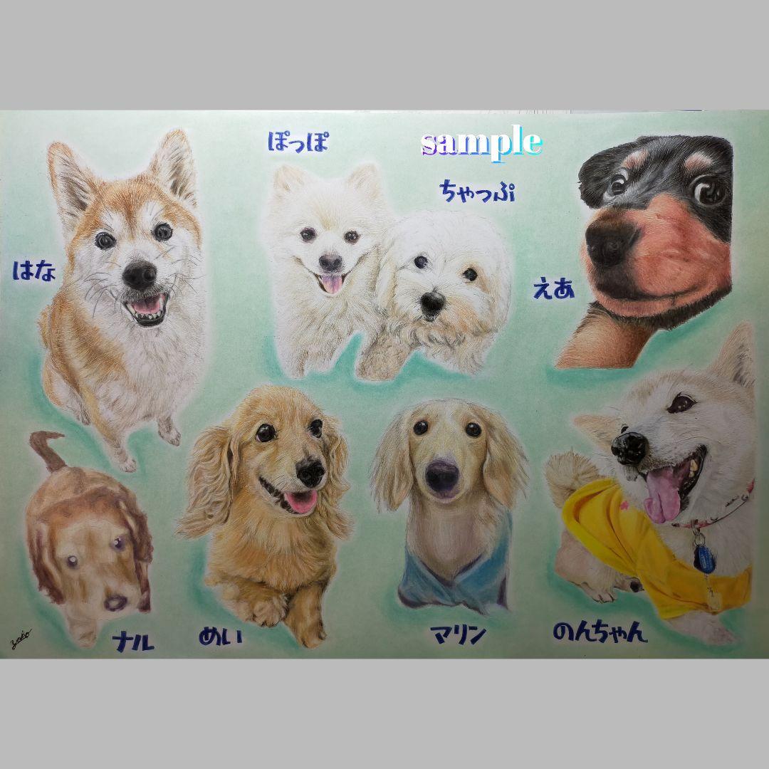 色鉛筆画✭愛猫愛犬✭ペット似顔絵　肖像画　イラスト　注文オーダー　受付ページ　1