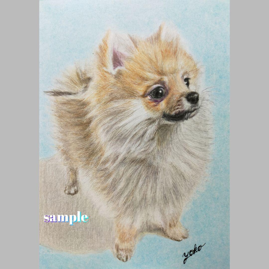 色鉛筆画✭愛猫愛犬✭ペット似顔絵　肖像画　イラスト　注文オーダー　受付ページ　1