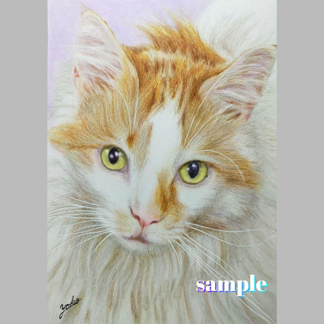 色鉛筆画✭愛猫愛犬✭ペット似顔絵　肖像画　イラスト　注文オーダー　受付ページ　1