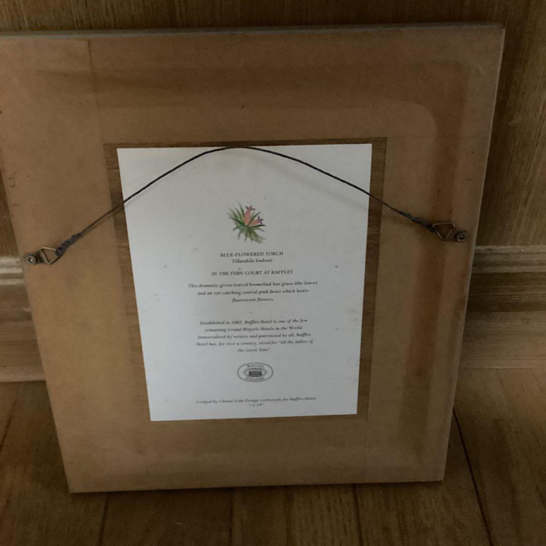 シンガポールラッフルズホテル熱帯植物リトグラフ額装仕立て