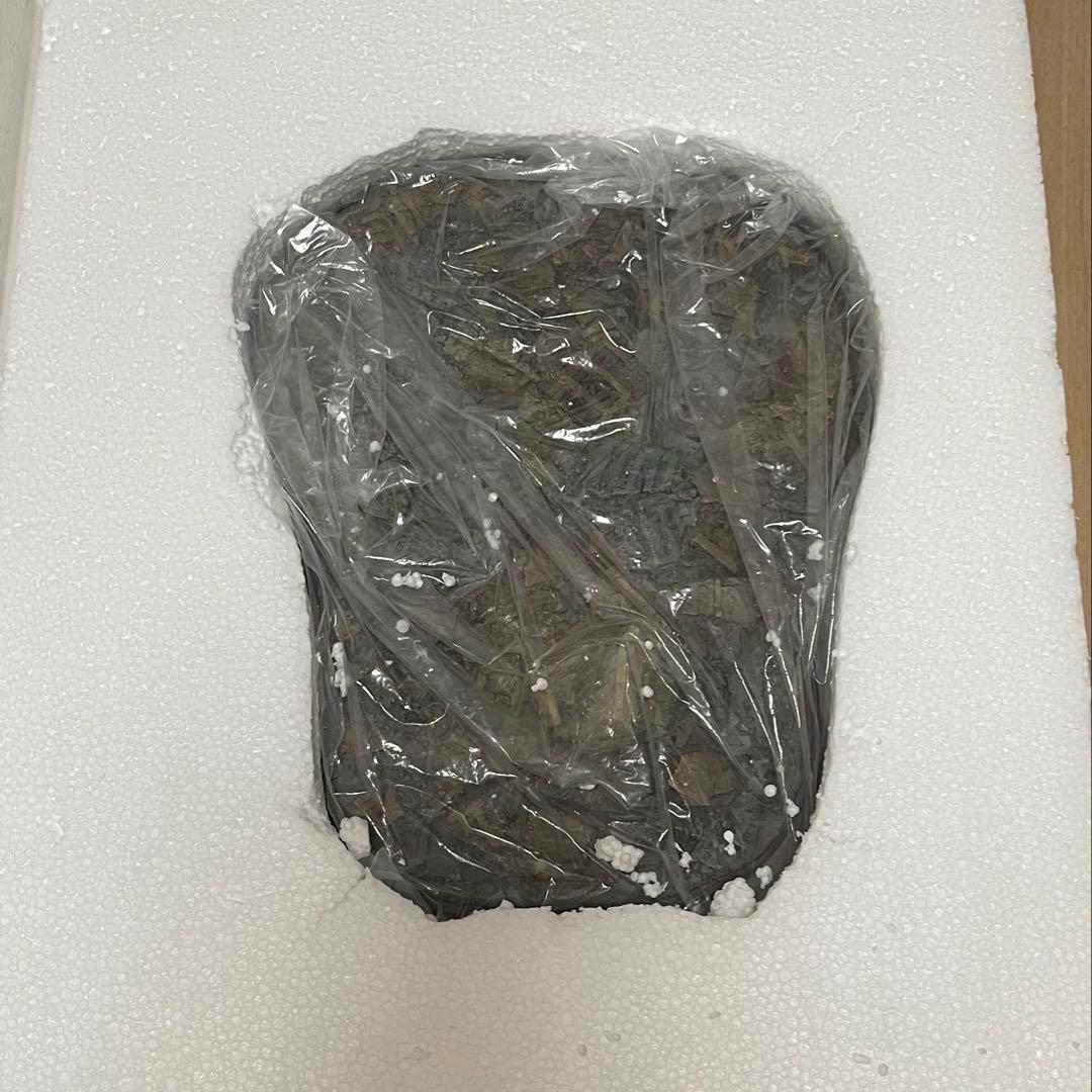 リアルマスターコレクションplus メカゴジラ 1975 フィギュア