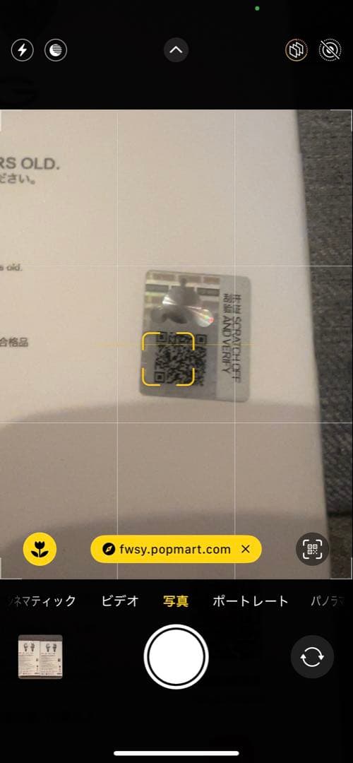 正規品 スカルパンダ XG 日本限定 セット 2点セット