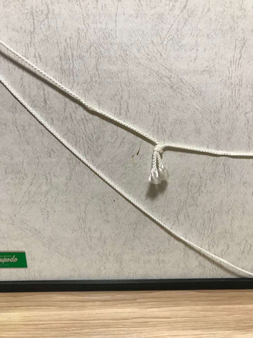 必見☆希少☆ヘルズエンジェルズ☆ポスター☆