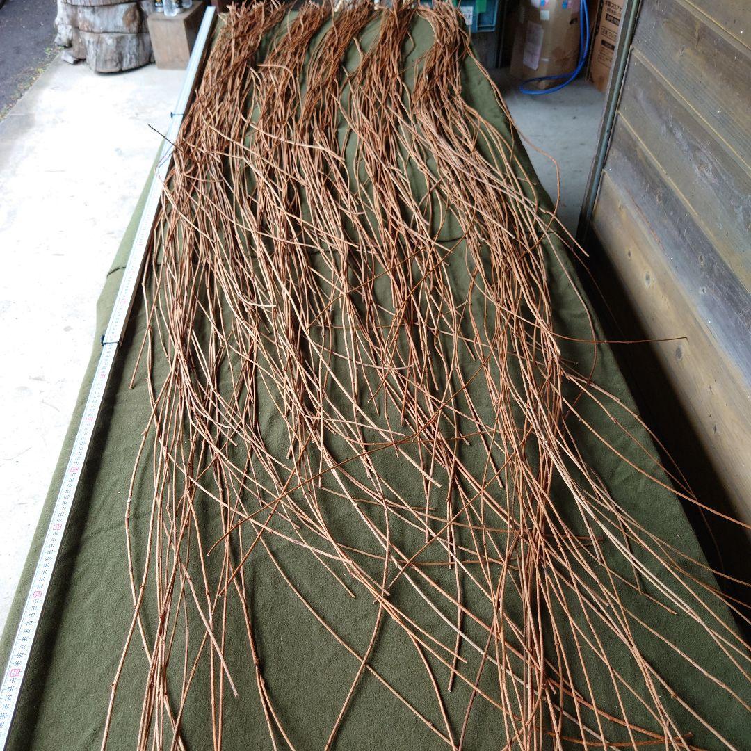 アケビの蔓(根蔓ランナー)