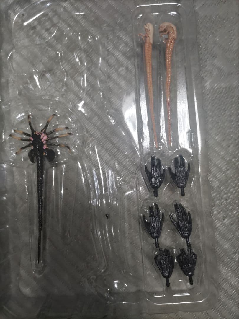 NECA ネカ　ゼノモーフXX121　エイリアンロムルス