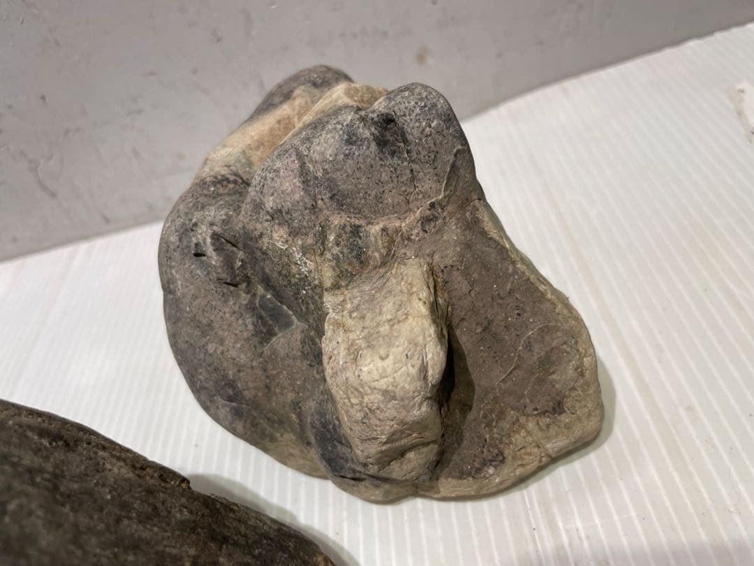 美品 鳥取県 佐治石 原石 おまとめセット石 マニア必見 希少品 早い