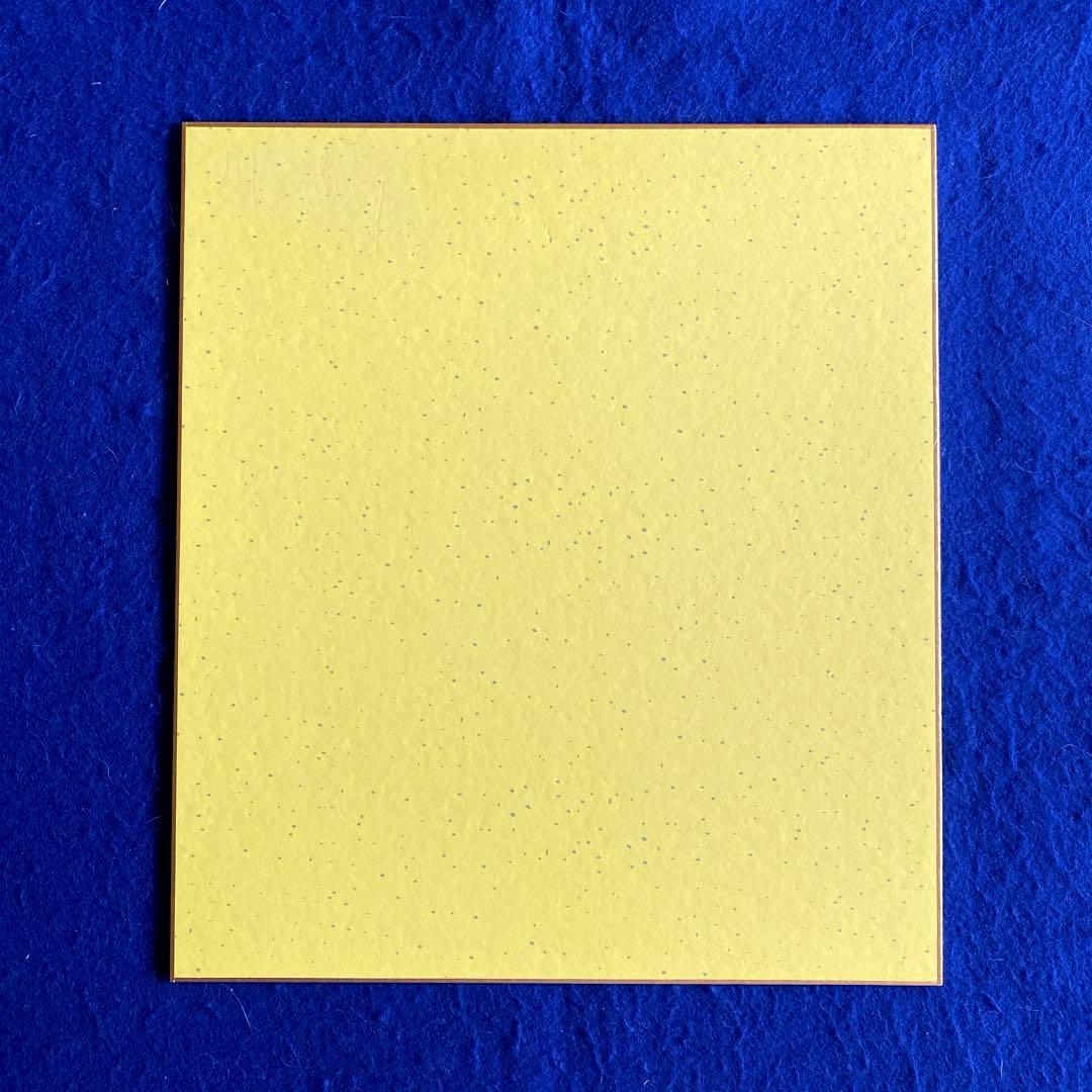 人気女優　川口春奈　直筆サイン　色紙　写真付き