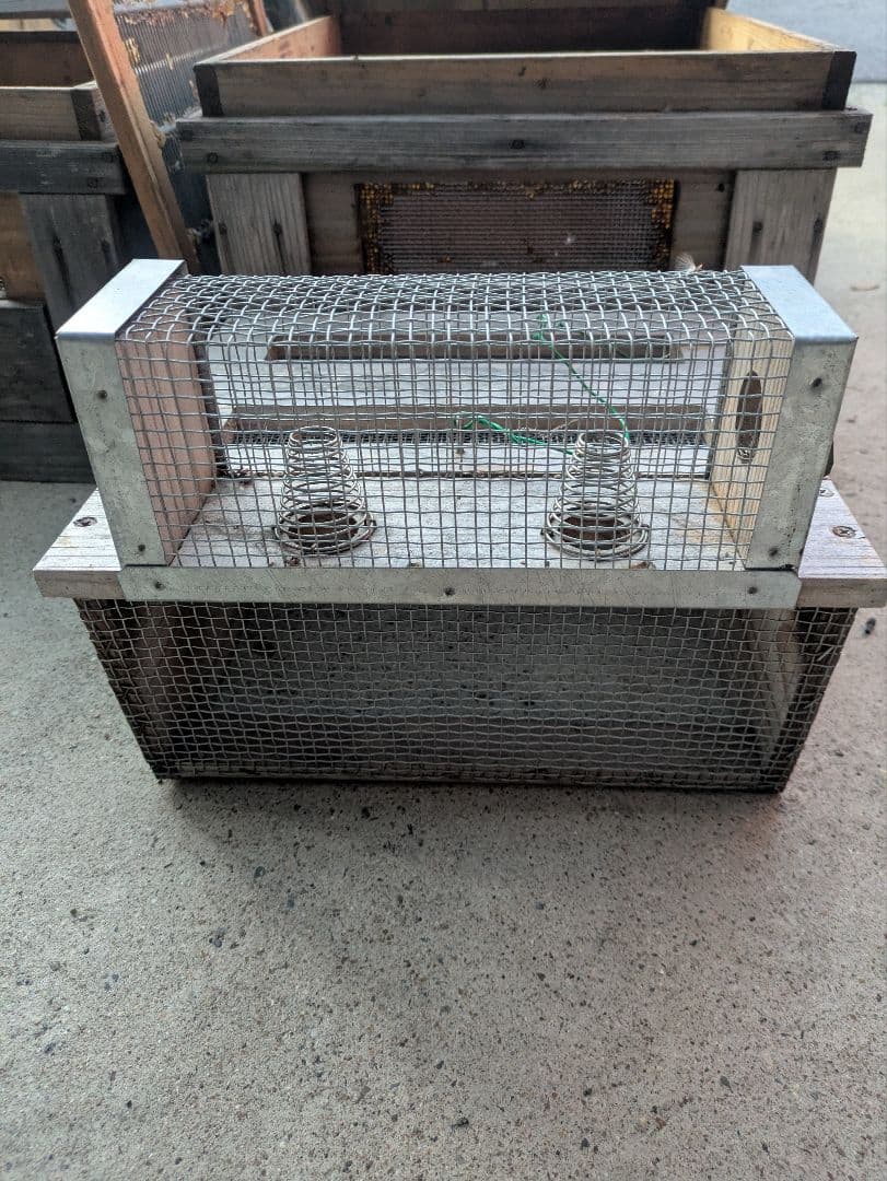 養蜂 器具 セット