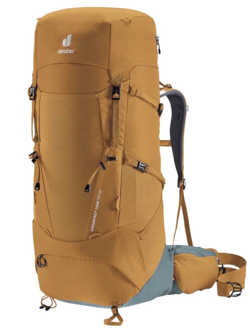 高級和食器 色絵 金彩 矢羽根文 長皿 板皿 12客 共箱