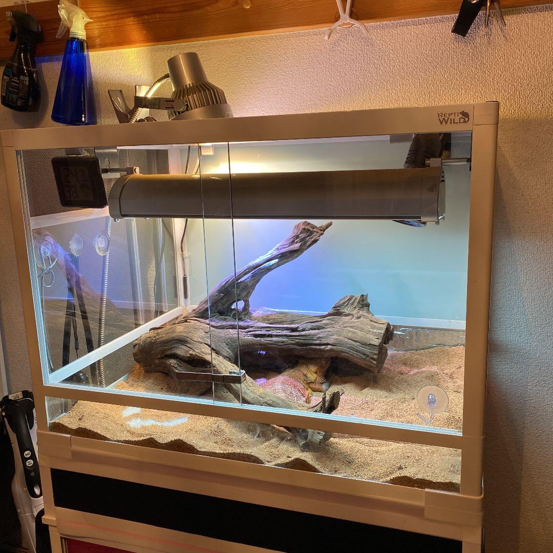 爬虫類 ケージ 6045