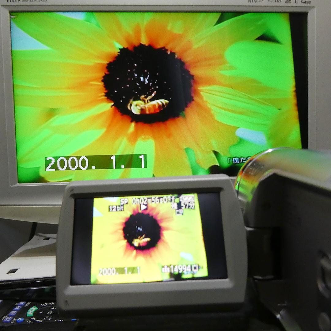 動作品 ソニーDCR-TRV50 MiniDV ビデオカメラ DVDダビングに