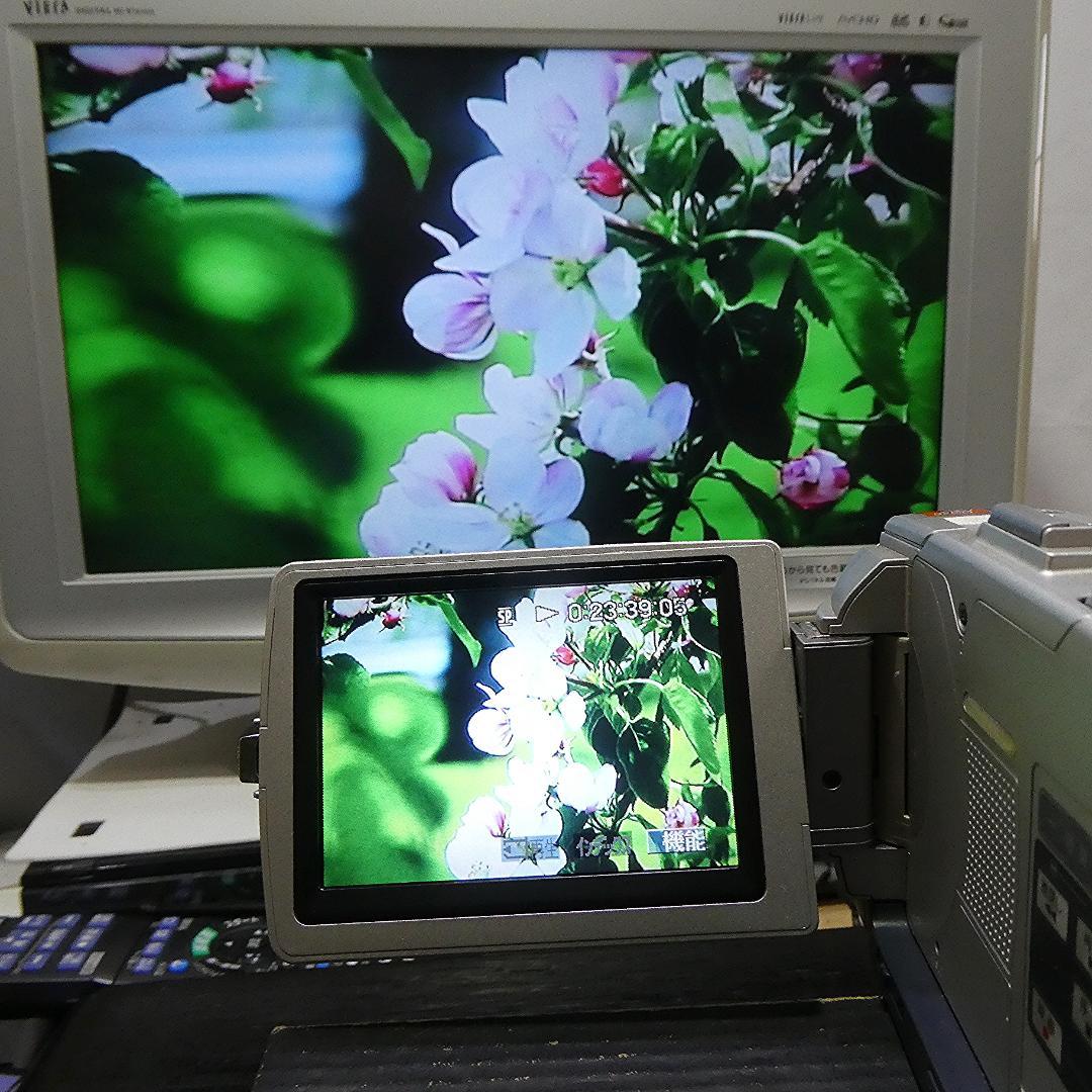 動作品 ソニーDCR-TRV50 MiniDV ビデオカメラ DVDダビングに