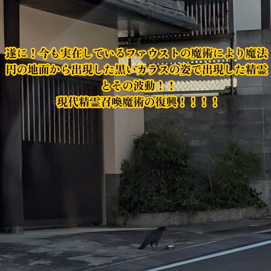 【ご予約品】ファウスト博士の精霊召喚魔術書 〜全てを成し遂げることができた図形版