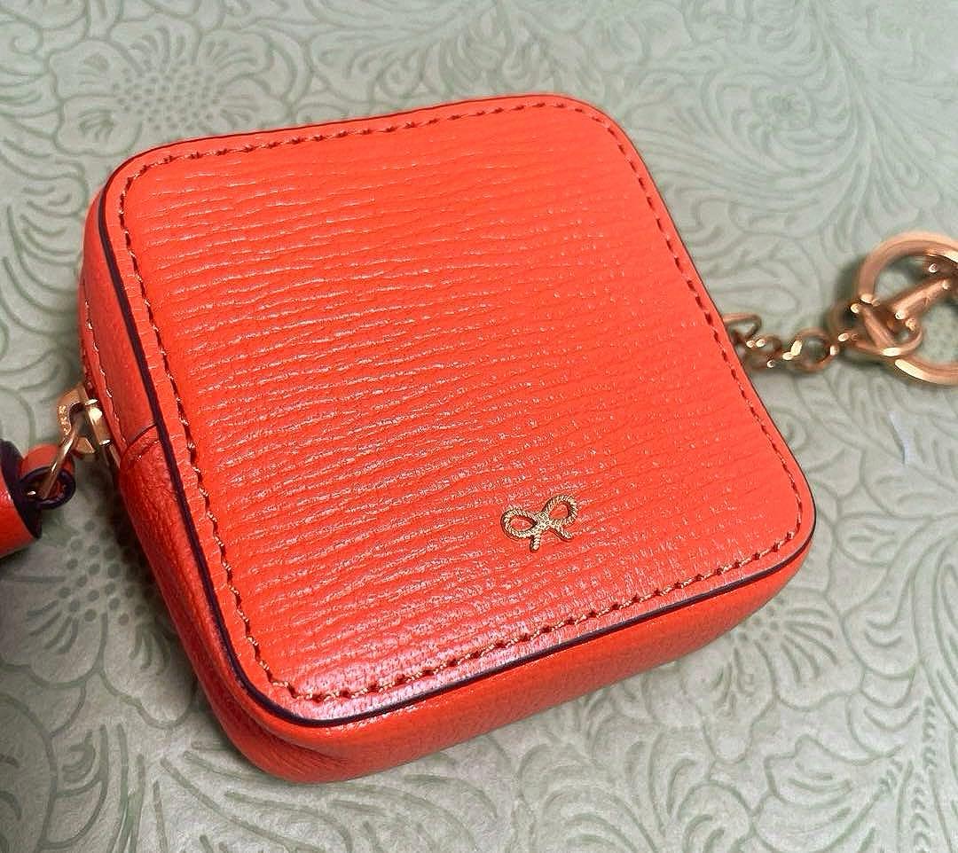 ANYA HINDMARCH アニヤハインドマーチ ケース チャーム