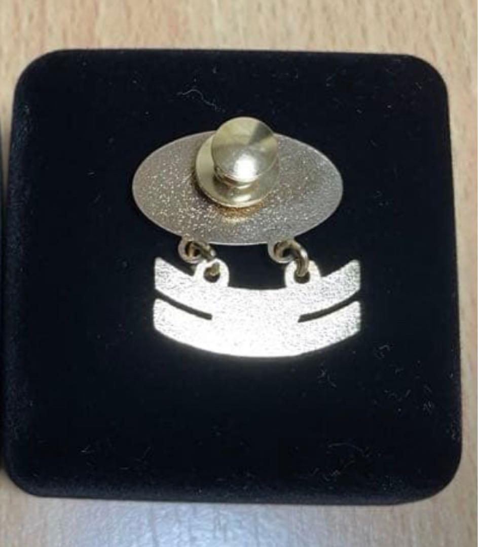 やまと❗️2個セット　ニュースキン エグゼクティブ維持15年20年ラペルピン