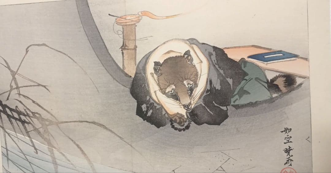 小説故郷の口絵中沢弘光画と河鍋暁斎の口絵狸の2枚