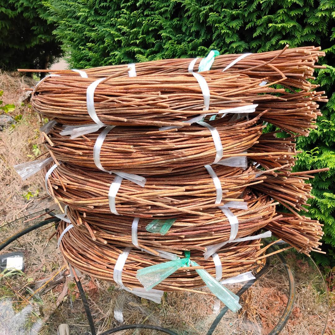 hkeplk　青森岩木山採取　あけび蔓　150cm～ 5kg