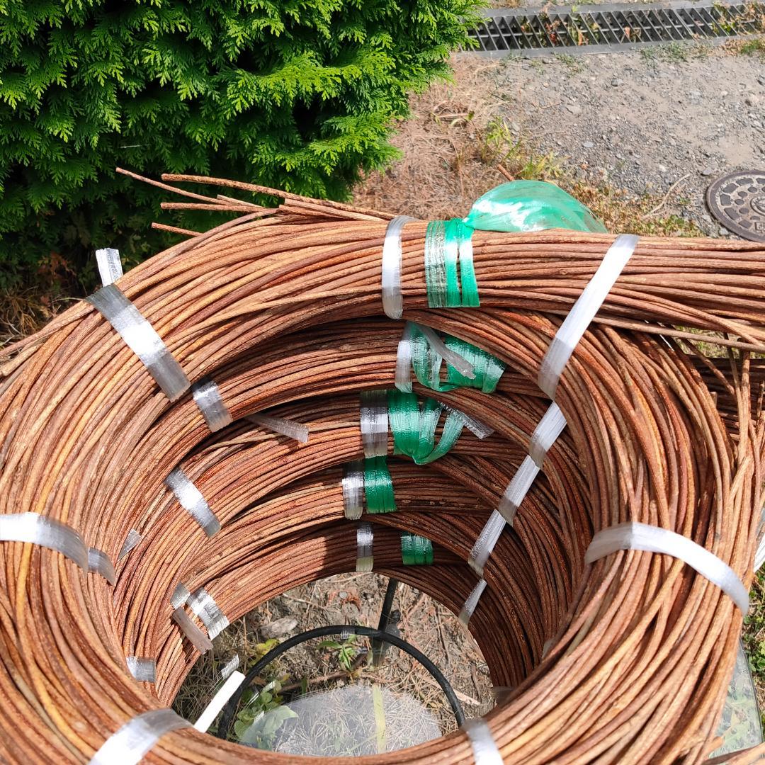 hkeplk　青森岩木山採取　あけび蔓　150cm～ 5kg