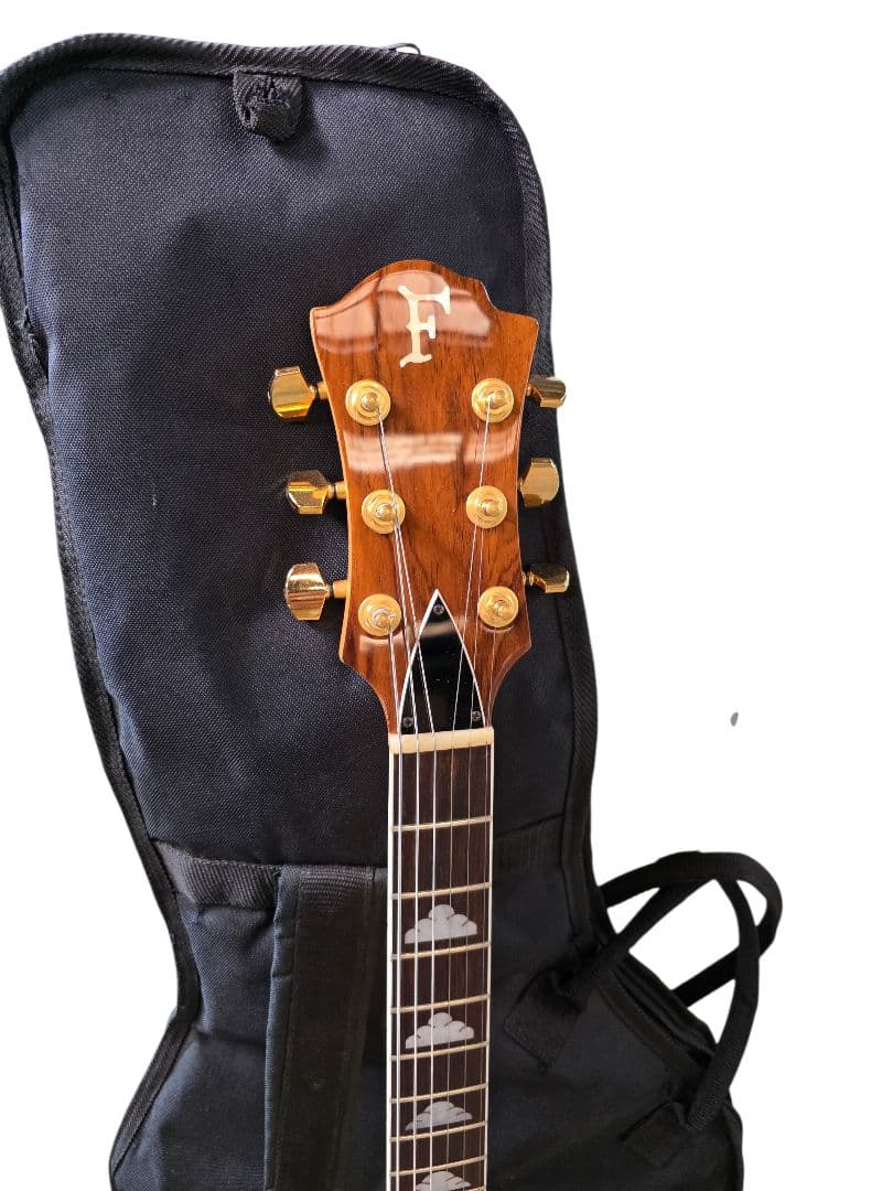 Fernandes MG-80X EMG ピックアップ エレキギター - メルカリ