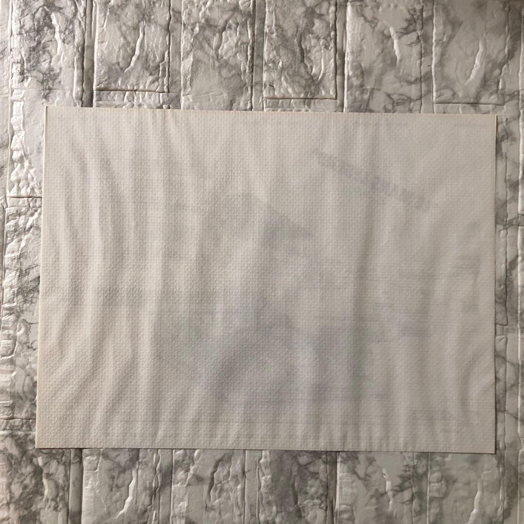 激レア ル・マン24時間耐久レース レジェンドカフェ ペスカロロ C60