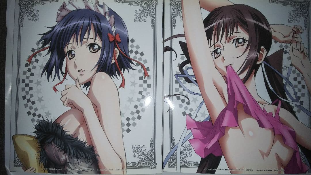 (DVD無し)(中古品・開封品)プリンセスラバー 初回限定版vol,1～6