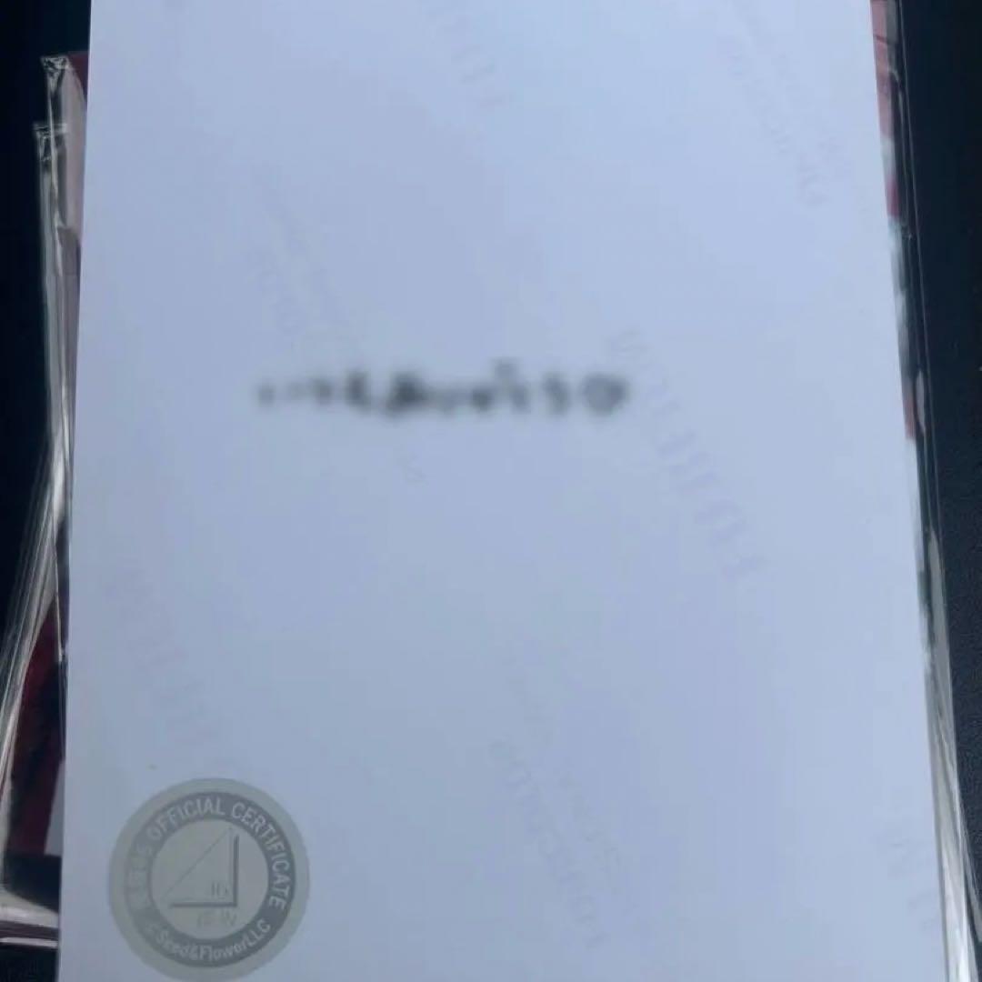 山川宇衣 サンタ衣装 直筆 生写真