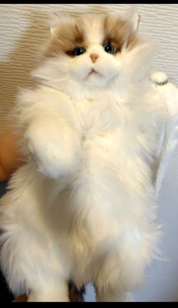 猫のぬいぐるみ　にゃんちゃん　ショルダーねこバッグ