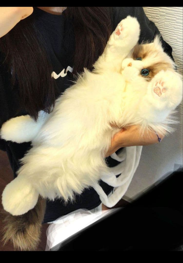 猫のぬいぐるみ　にゃんちゃん　ショルダーねこバッグ