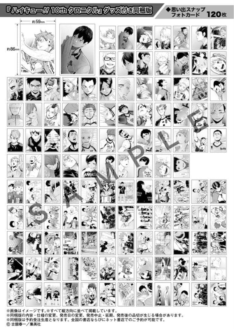 ハイキュー10thクロニクル フォトカード ピンズ