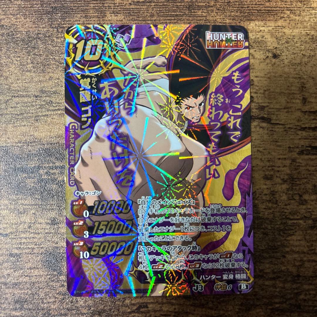 覚醒ゴン 神Ω アルカ・ゾルディック ミラバト