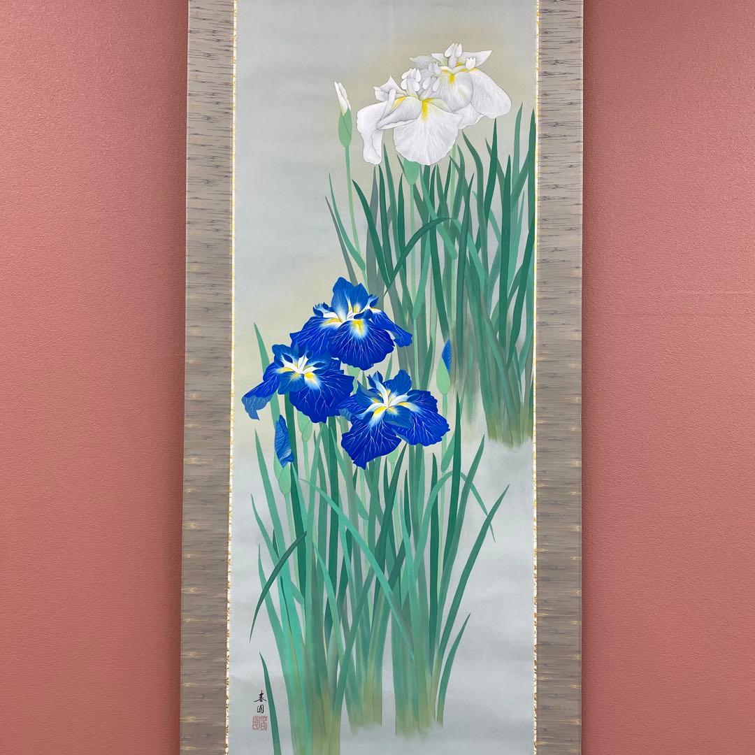 掛け軸2本 若林春園作 菖蒲図、内田桃林作 柿図