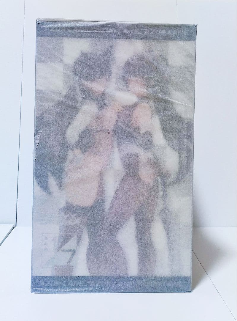 【新品未使用】アズールレーン 愛宕＆高雄 レースクイーンVer. （アルター）